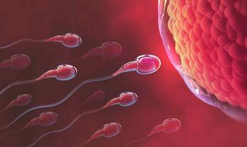 Mythes et réalité sur la fertilité